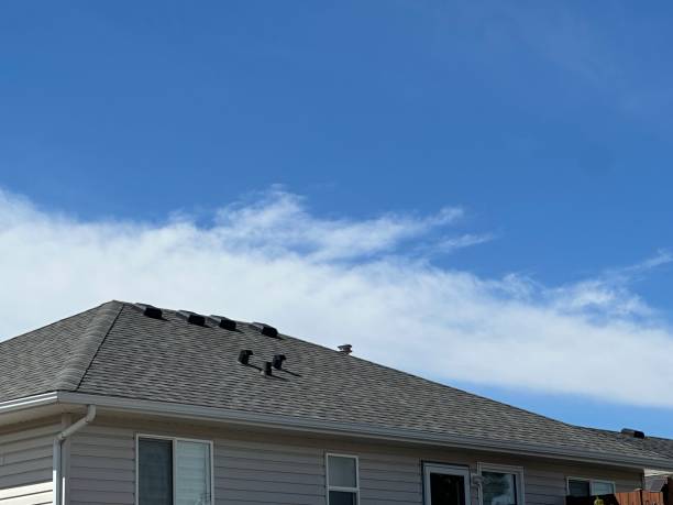 Trusted Wauseon, OH Roofing service Experts